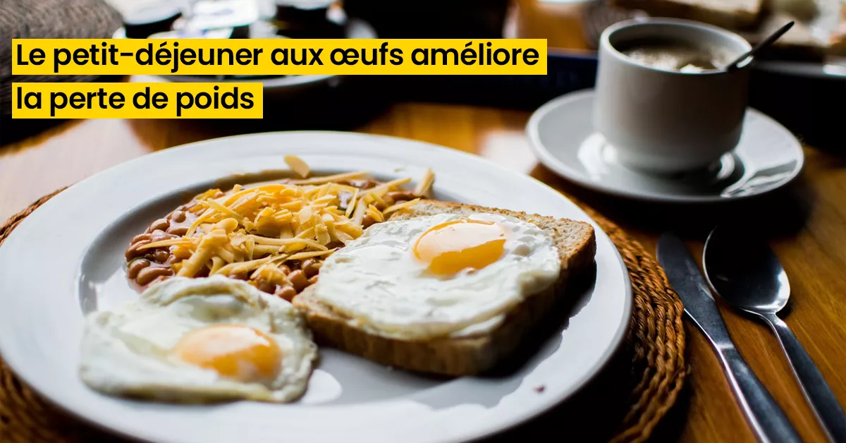 Le petit-déjeuner aux œufs améliore la perte de poids